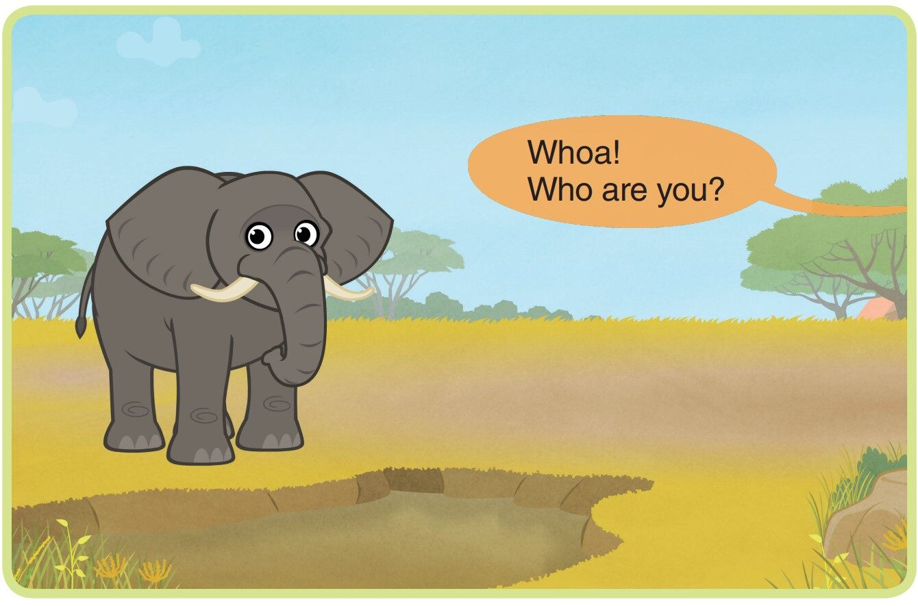 African Elephant绘本故事第2页