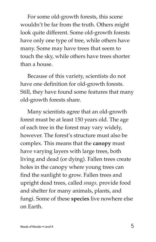 Woods of Wonder绘本故事第4页