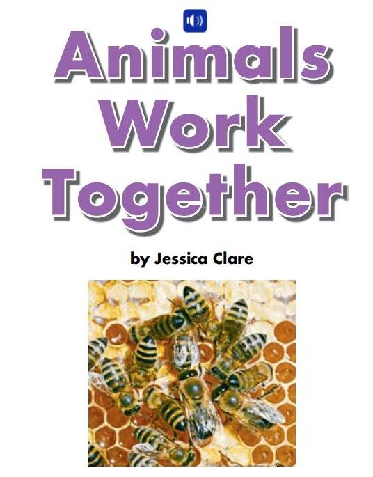 Animals work together绘本故事第2页