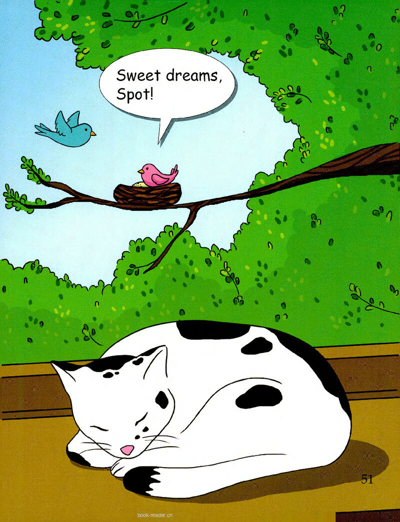 My Cat绘本故事第3页