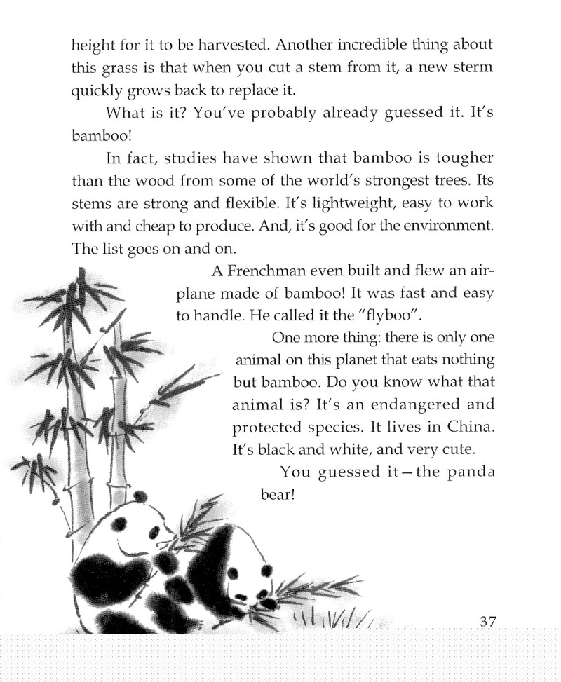 An Amazing Plant绘本故事第3页