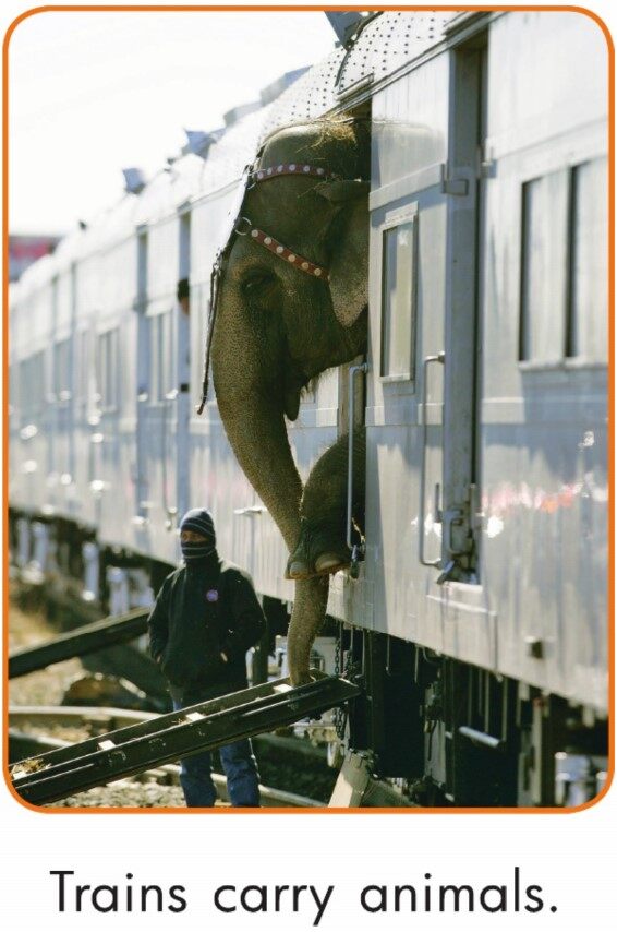 Trains Work Hard绘本故事第5页