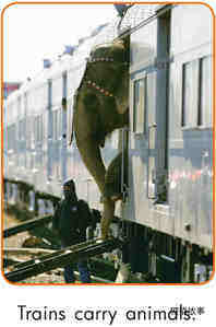 Trains Work Hard绘本故事第5页