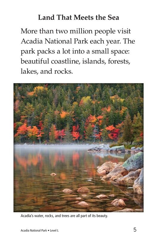 Acadia National Park绘本故事第4页