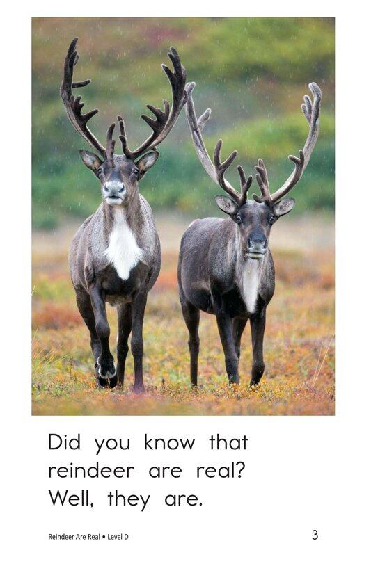 Reindeer Are Real绘本故事第3页
