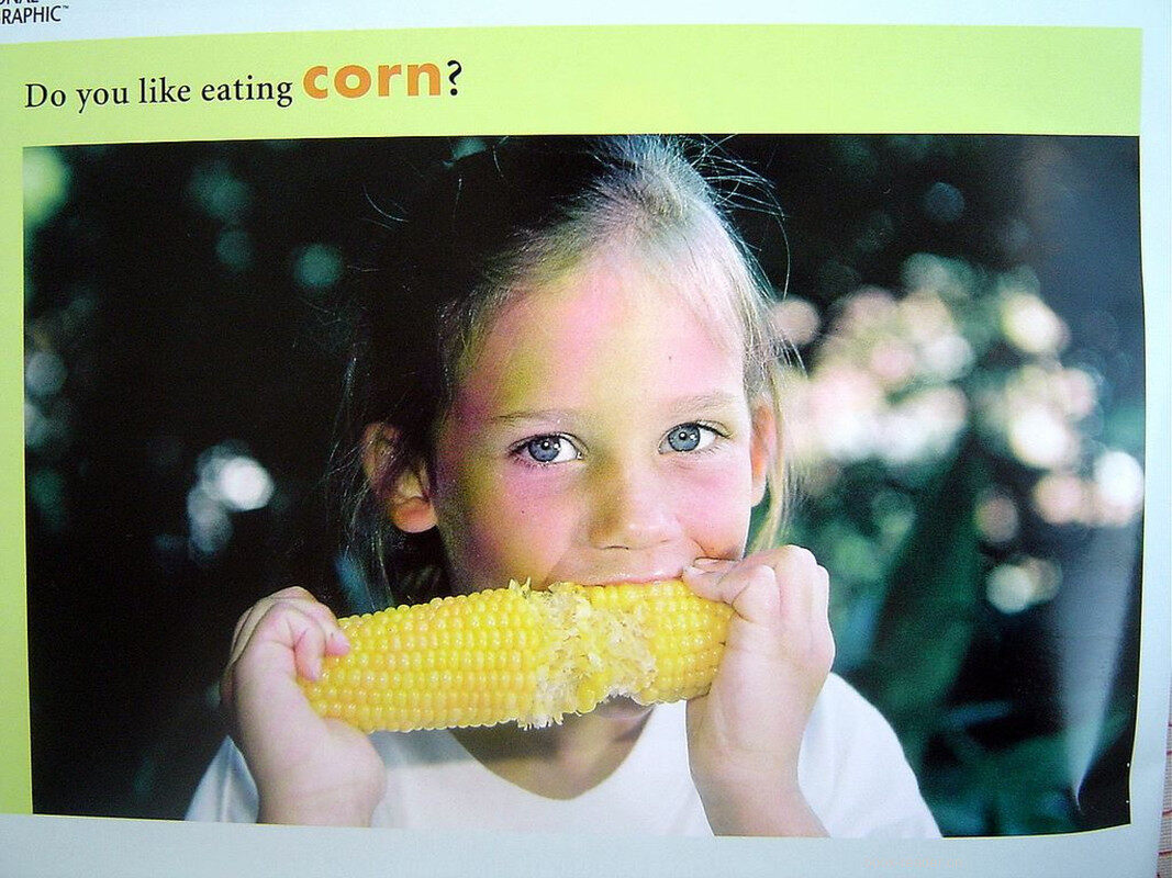 corn绘本故事第3页