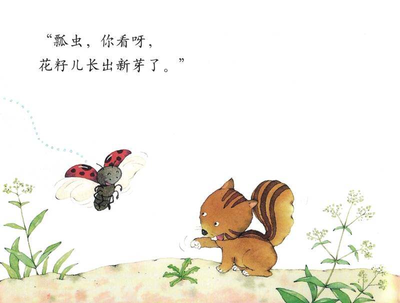 花儿怎么长大的绘本故事第4页