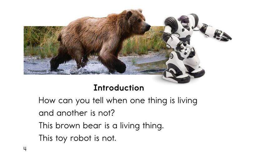 Living Or Nonliving绘本故事第3页