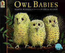 (43周)Owl Babies 