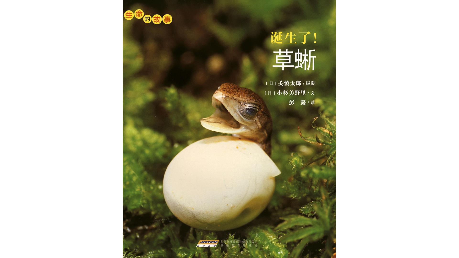 诞生了！草蜥绘本故事第2页