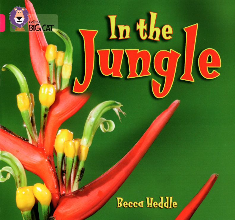 In the Jungle绘本故事第2页