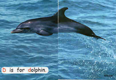 sea life绘本故事第4页