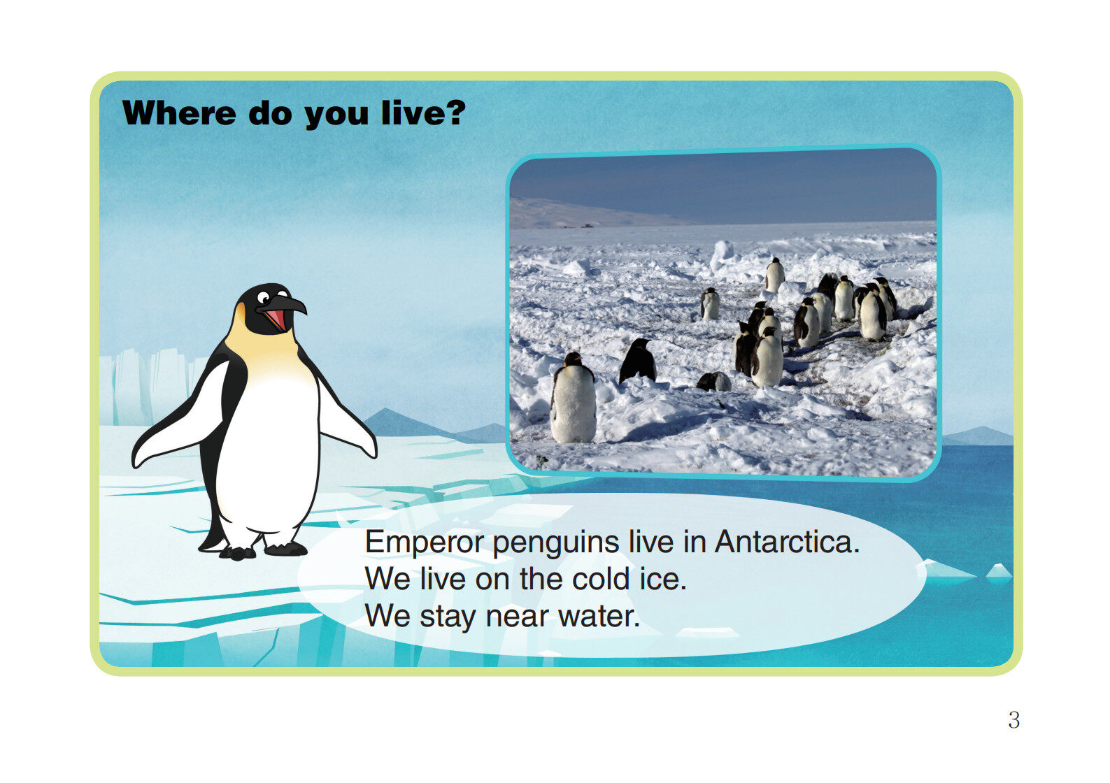 Emperor Penguin绘本故事第4页