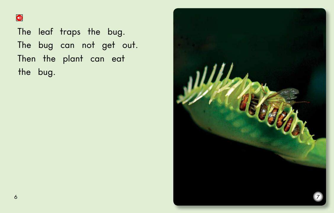 Plants That Eat Bugs绘本故事第5页
