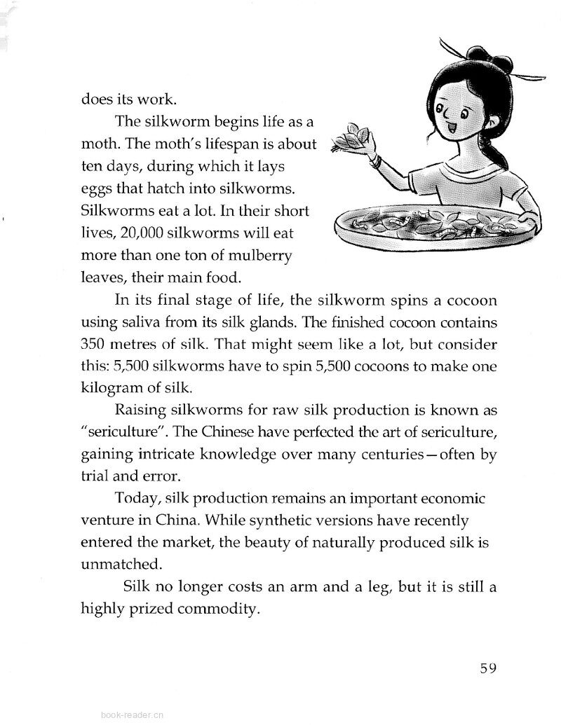 What Is Silk?绘本故事第3页