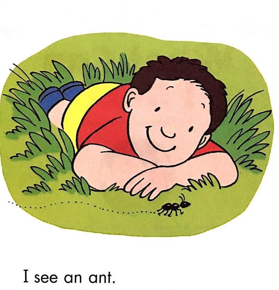 What can I see绘本故事第2页