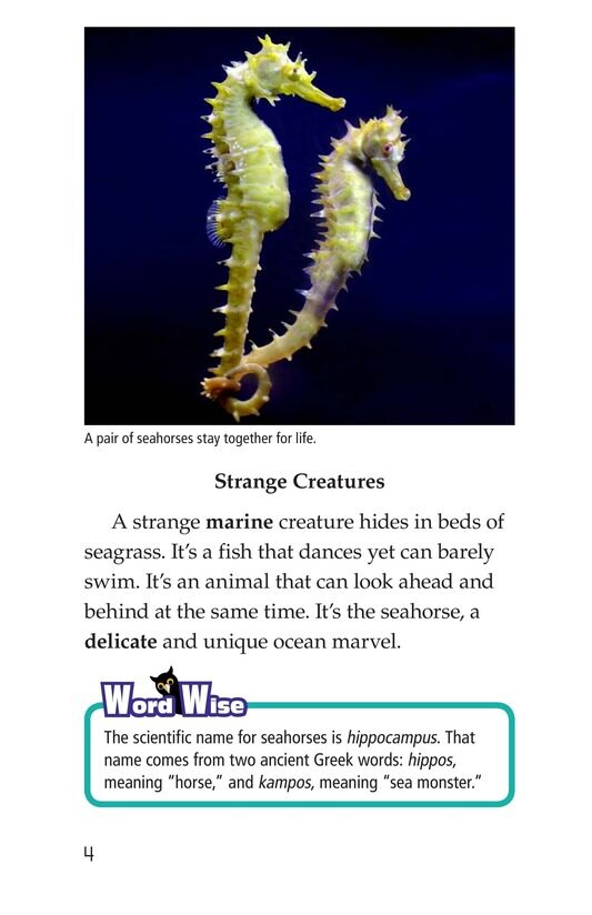 Seahorses绘本故事第3页