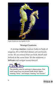 Seahorses绘本故事第3页