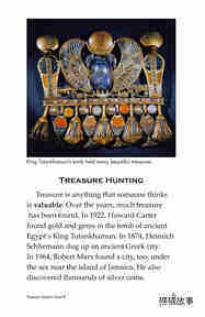 Treasure Found绘本故事第4页