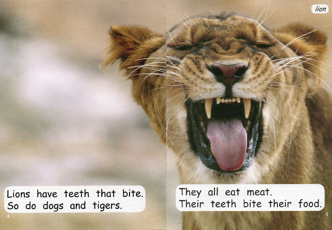 teeth绘本故事第4页