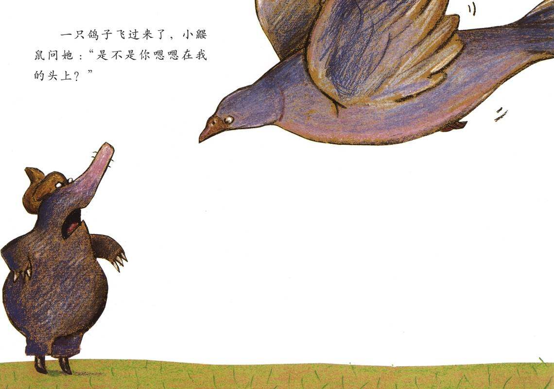 是谁嗯嗯在我的头上绘本故事第4页