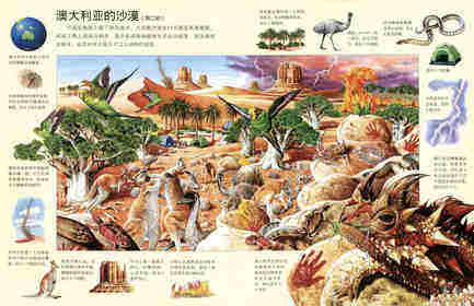 搜索奇异的环球地貌绘本故事第4页