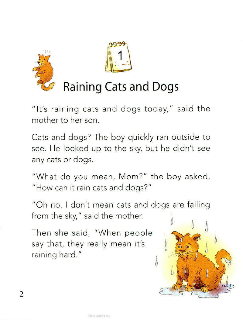 Raining Cats and Dogs.绘本故事第3页