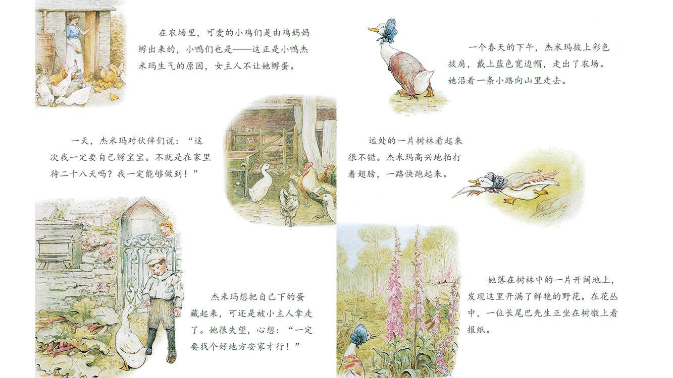 小鸭杰米玛绘本故事第4页