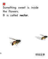 All About Honeybees绘本故事第5页