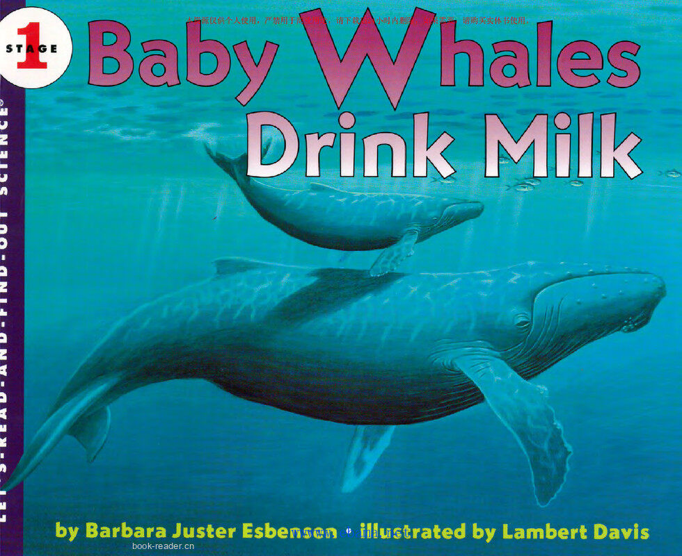 Baby Whales Drink Milk绘本故事第2页