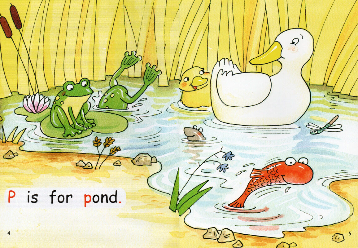 look at my home绘本故事第4页