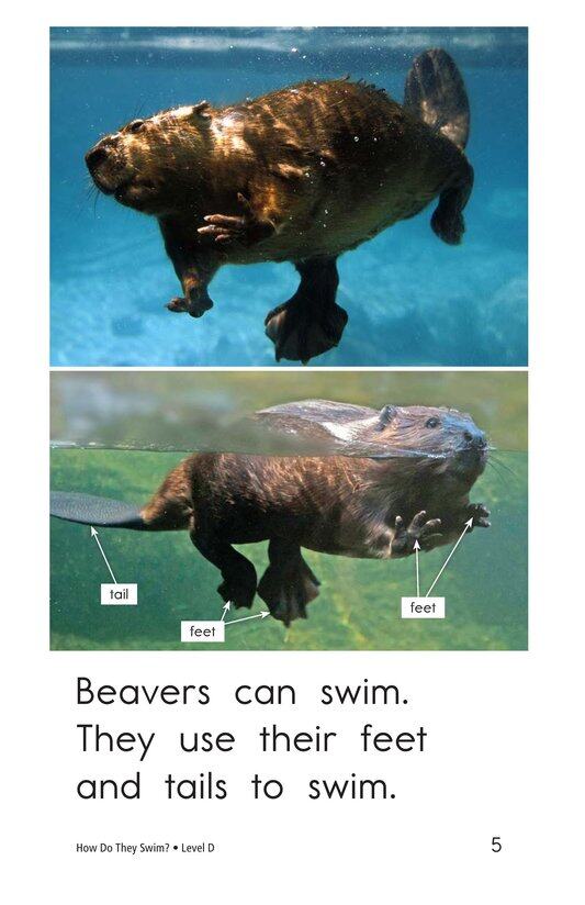 How Do They Swim绘本故事第5页