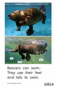How Do They Swim绘本故事第5页
