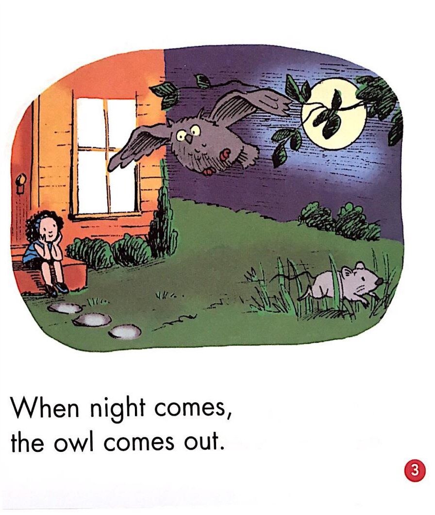 When night comes绘本故事第3页
