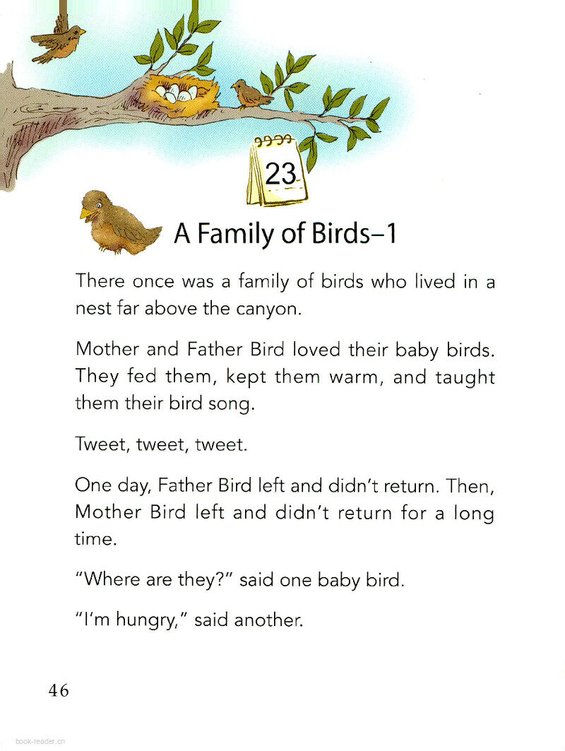A Family of Birds-1绘本故事第2页
