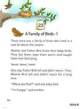 A Family of Birds-1绘本故事第2页