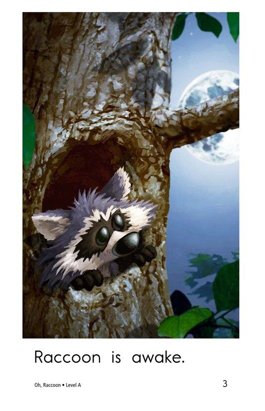 Oh,Raccoon绘本故事第3页