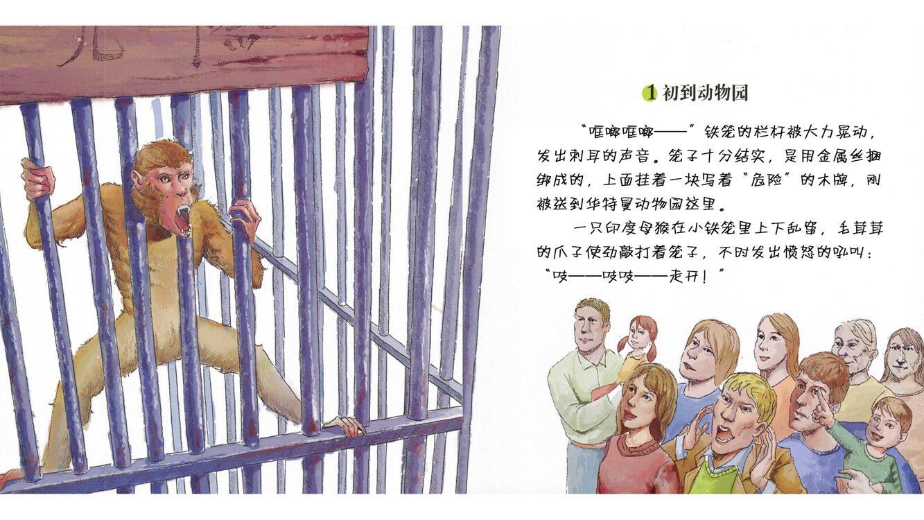 危险的母猴吉妮绘本故事第4页
