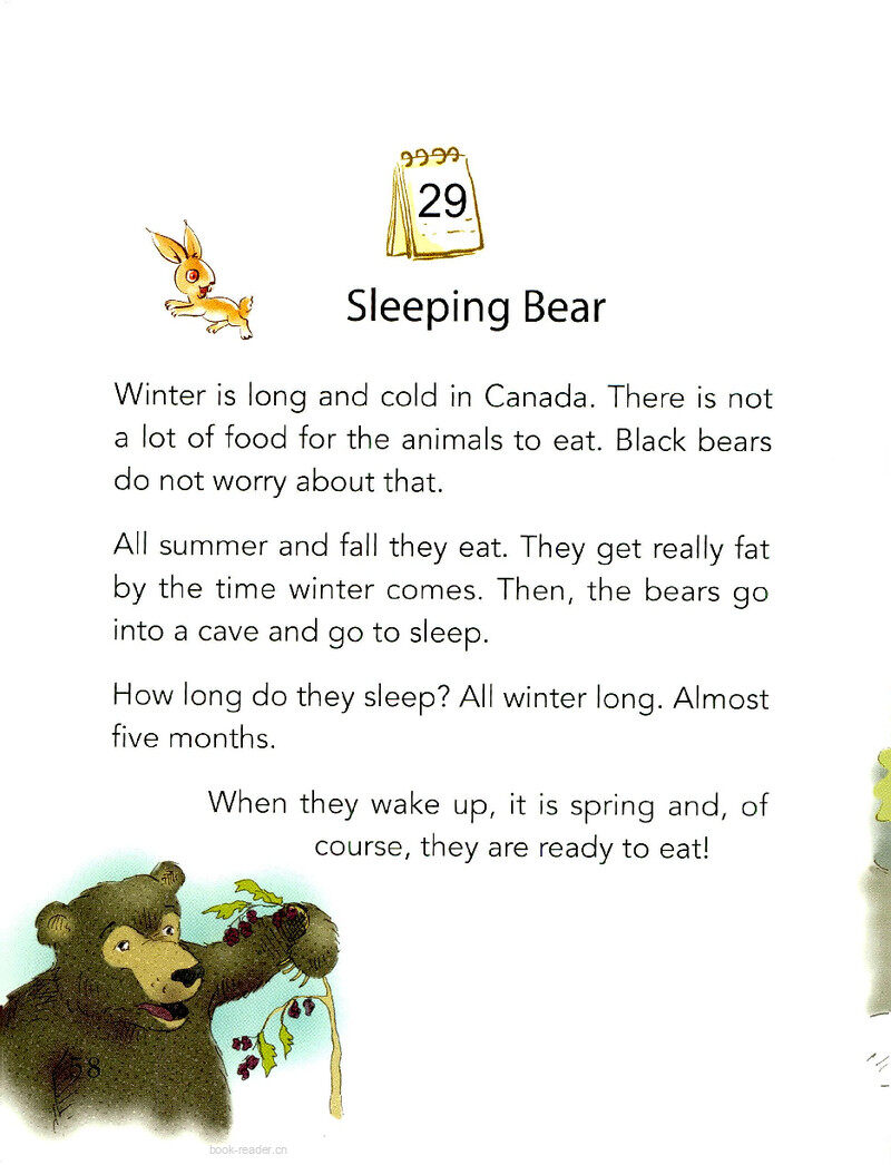Sleeping Bear绘本故事第2页