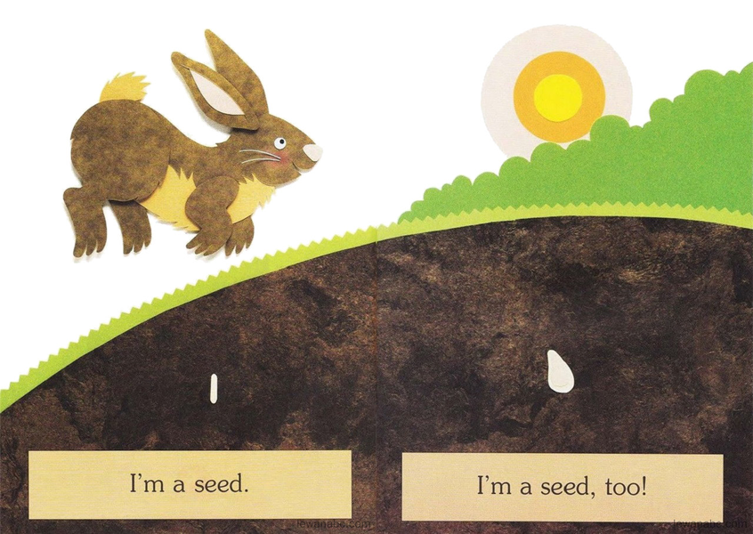(33周)I'm a Seed绘本故事第3页