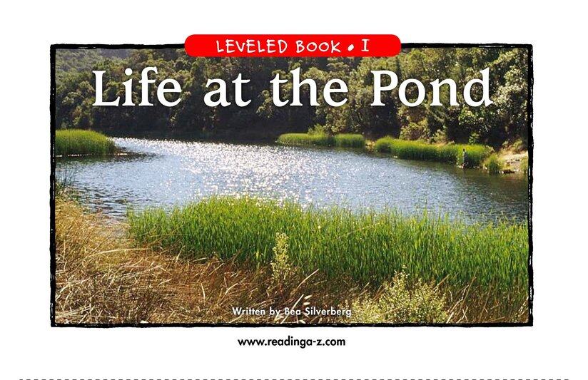 Life at the Pond绘本故事第2页