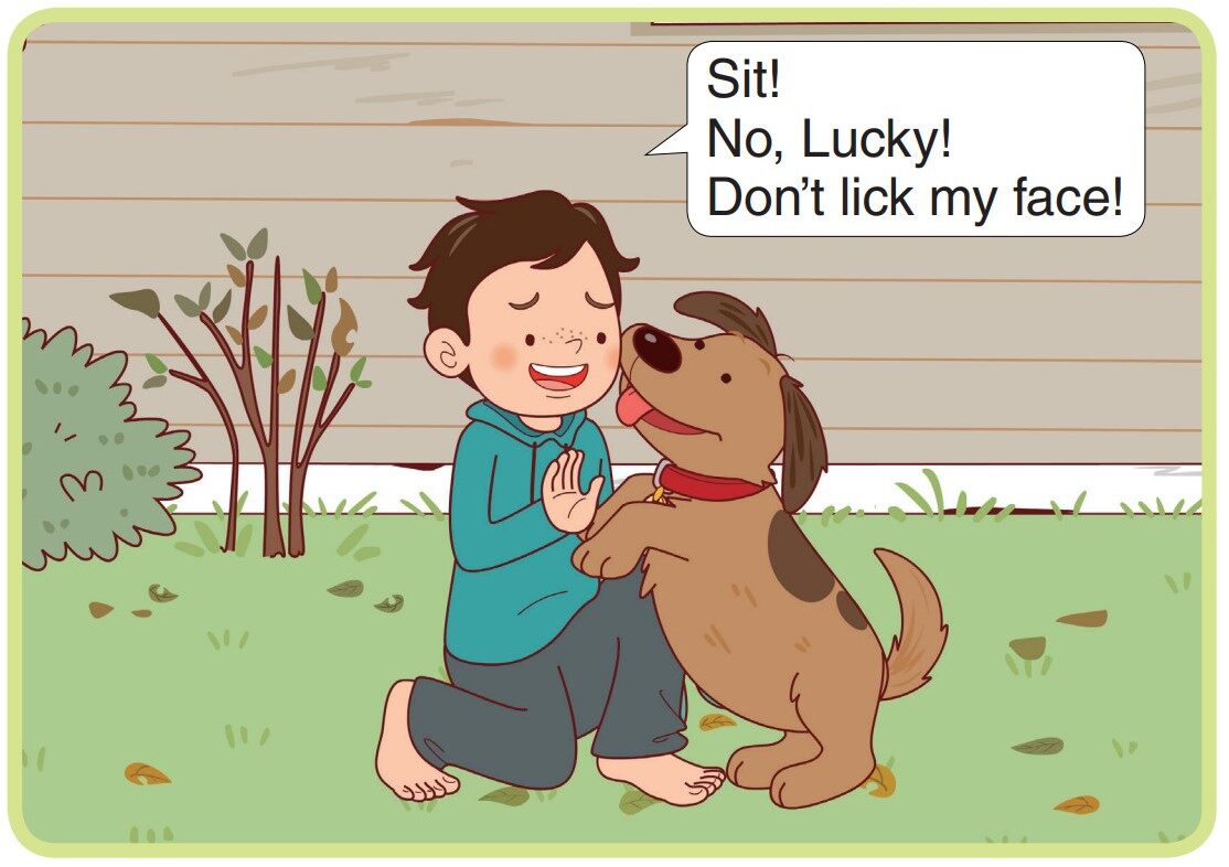 Getting Ready for the Dog Show绘本故事第5页