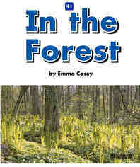 In the forest绘本故事第2页