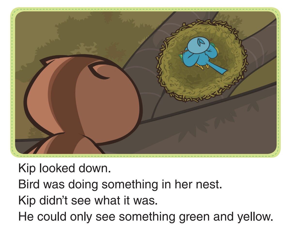 Bird's Secret绘本故事第3页