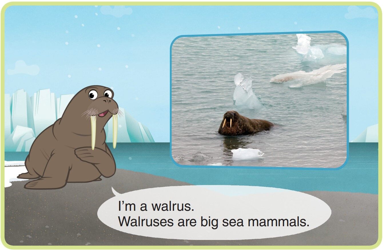 Walrus绘本故事第3页