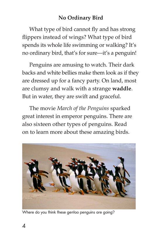 Penguins绘本故事第3页