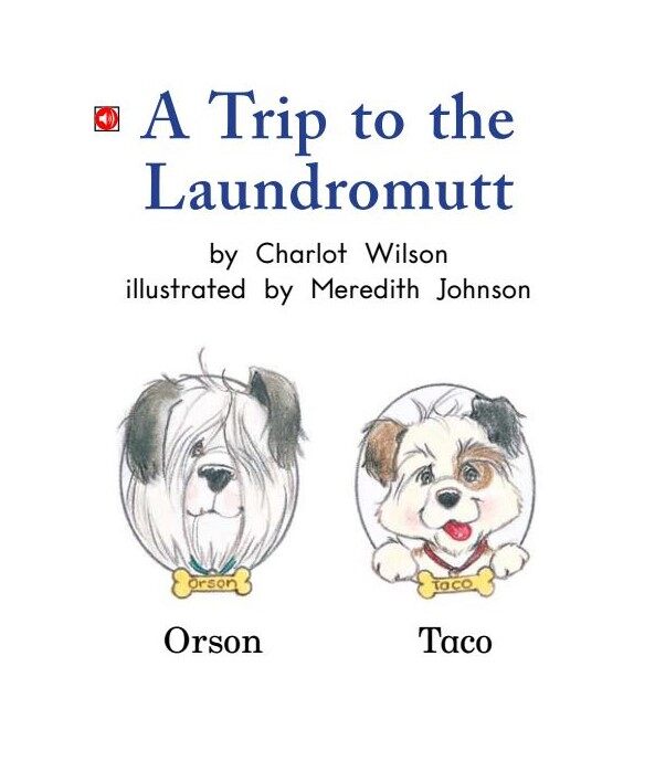 A Trip to the Laundromutt绘本故事第2页