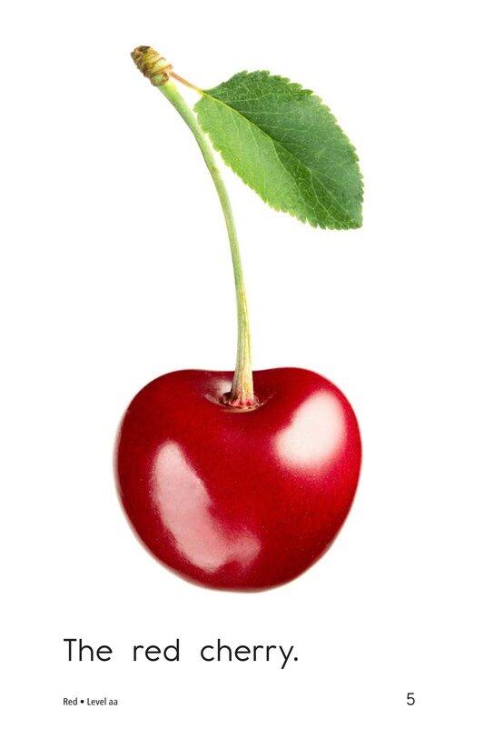 Red绘本故事第5页