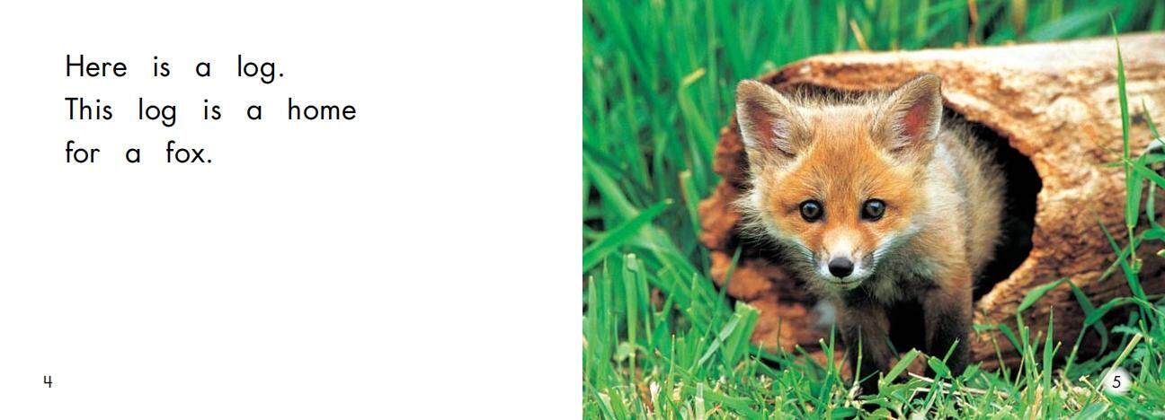 Homes绘本故事第4页