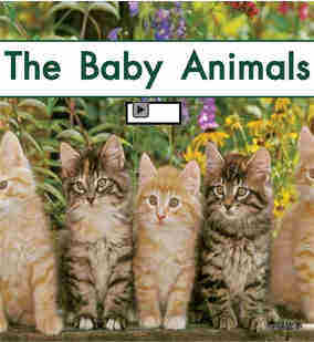 The baby animals